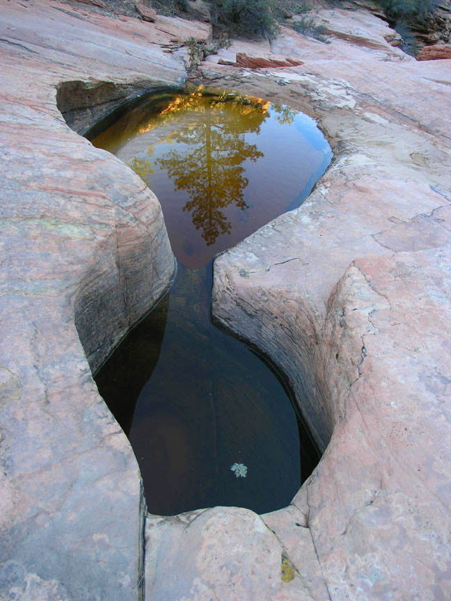 Cascading Falls Photo