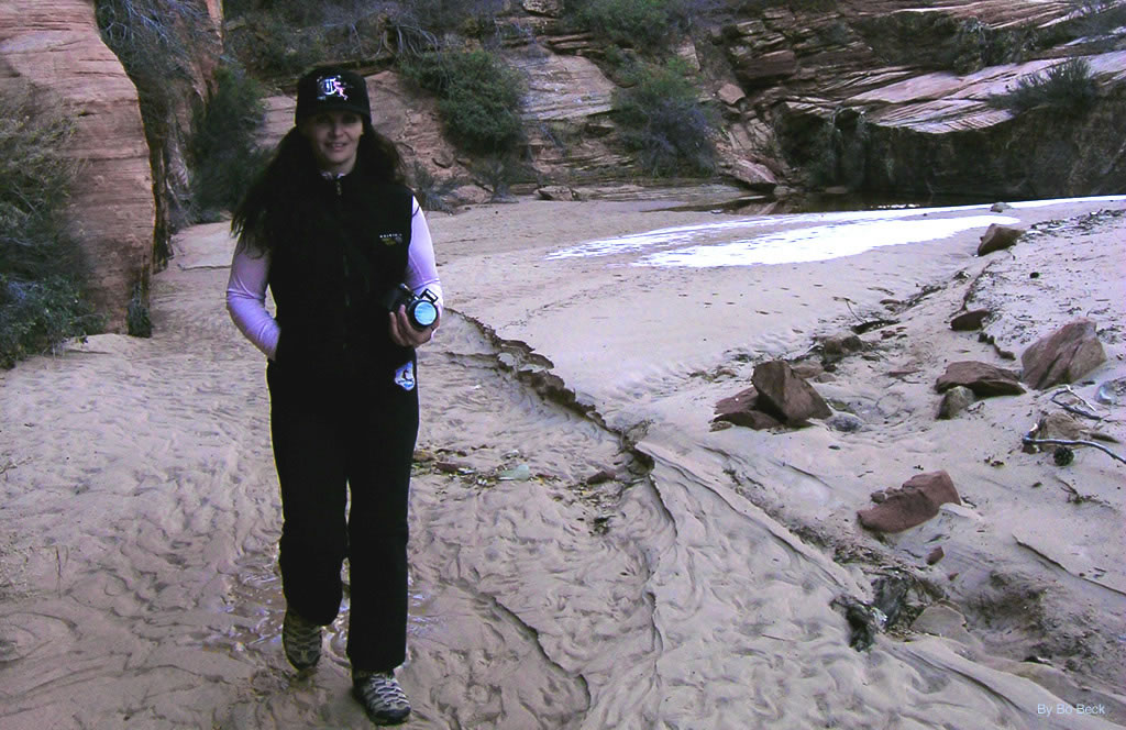 Cascading Falls Photo