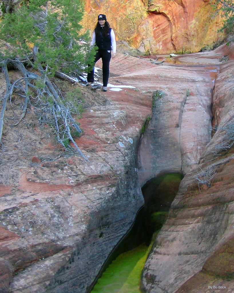 Cascading Falls Photo