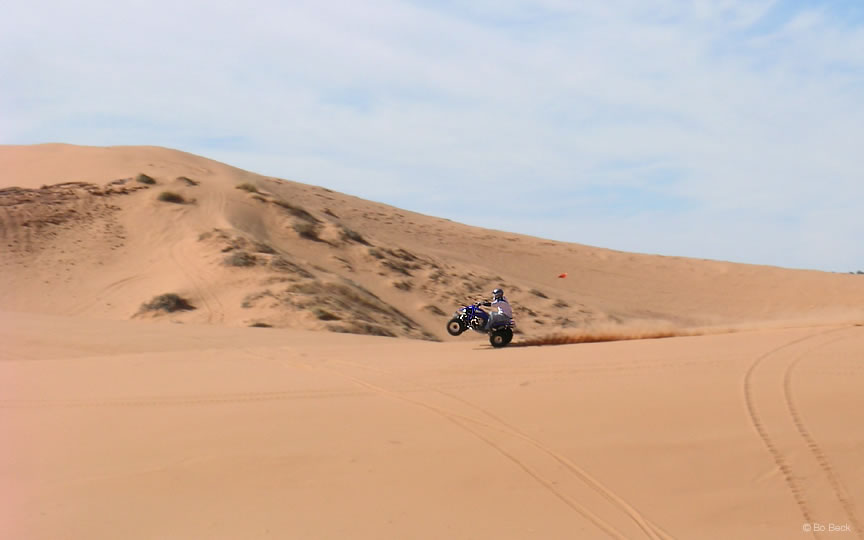 Picture Coral Pink Sand Dunes