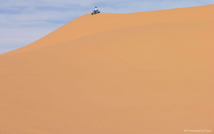 Coral Pink Sand Dunes Photo