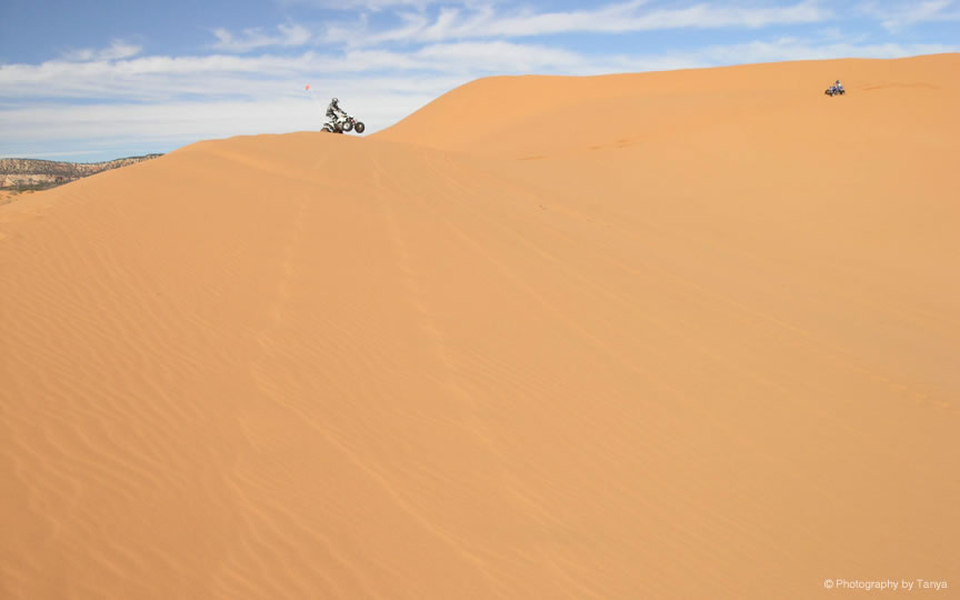 Sand Dunes Pictures