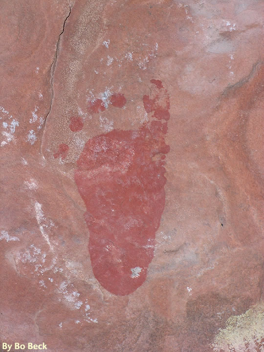 Hell Dive Canyon Pictographs photo