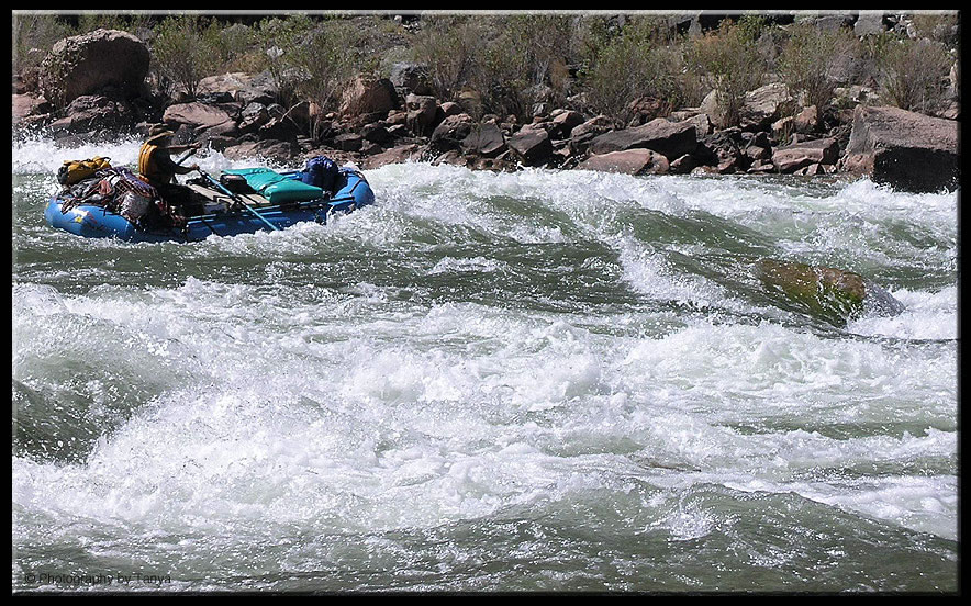 Picture Grand Canyon River Rapid