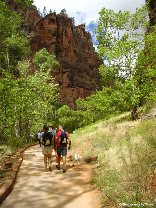 Zion Photo: Riverside Walk