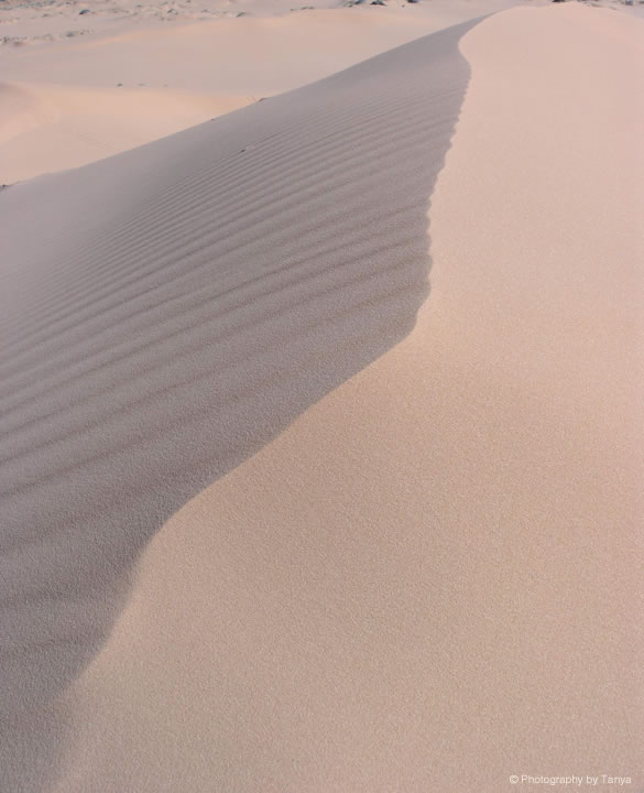 dunes photograph