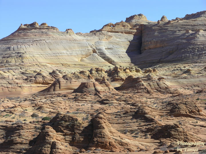 North Coyote Buttes - Wave Photo