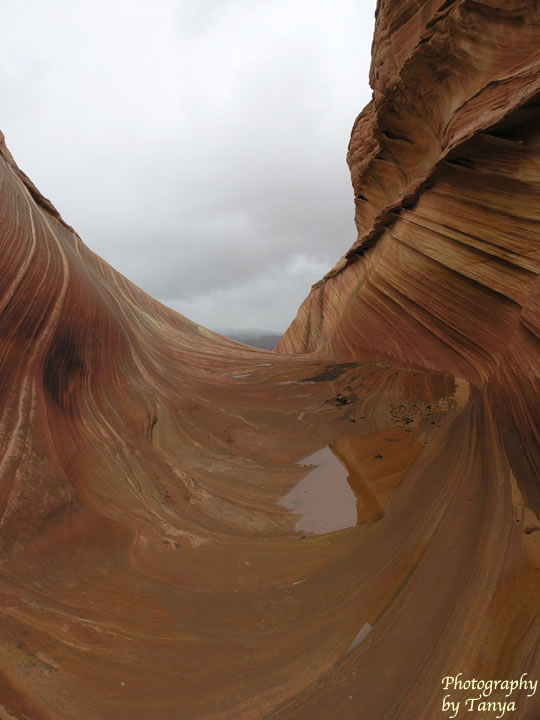 North Coyote Buttes - Wave Photo