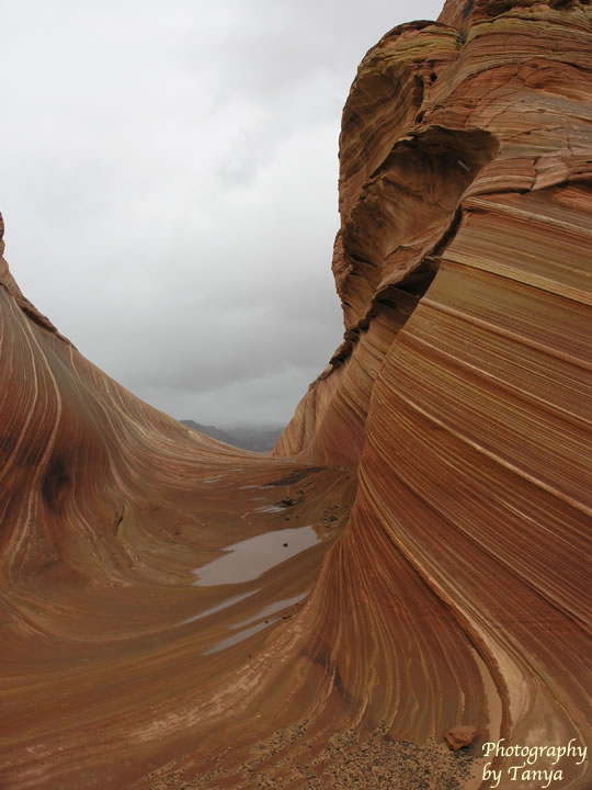North Coyote Buttes - Wave Photo