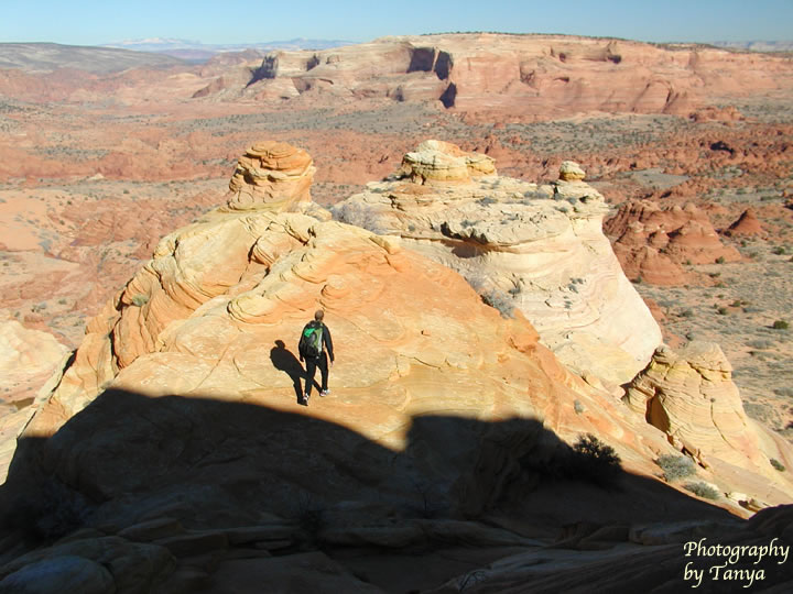 North Coyote Buttes - Wave Photo