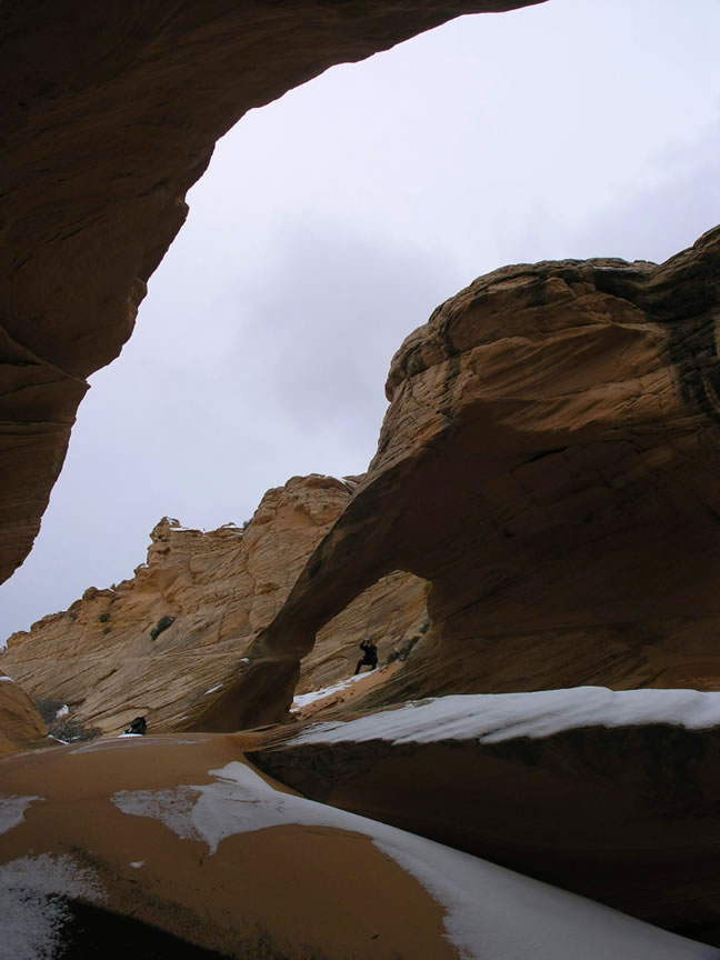 The Wave Photo
