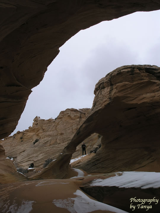 North Coyote Buttes - Wave Photo