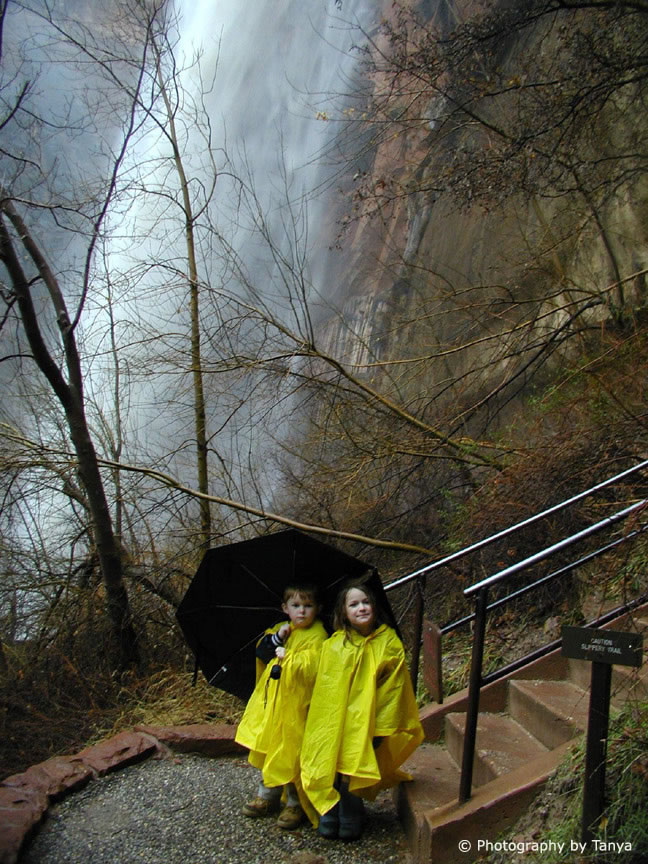 Photo Zion's Weeping Rock