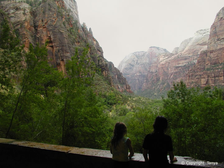 Photo - Weeping Rock