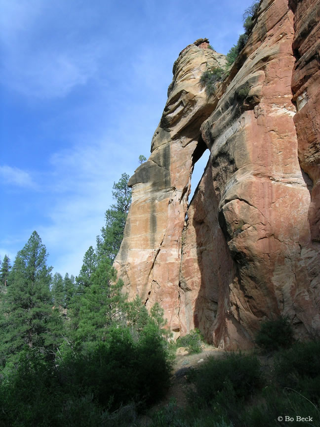Zion Narrows Arch