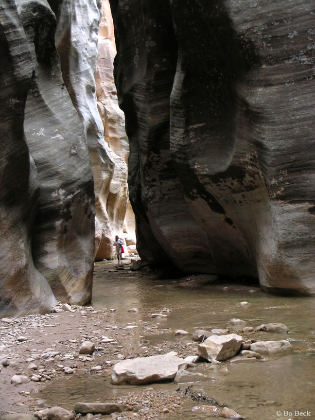 Zion Narrows photo