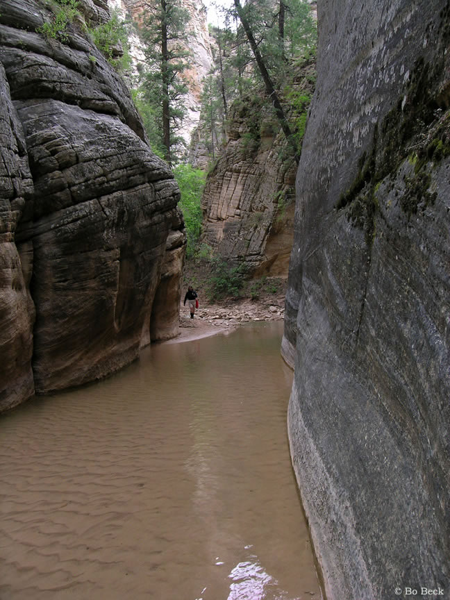 Zion Narrows photo