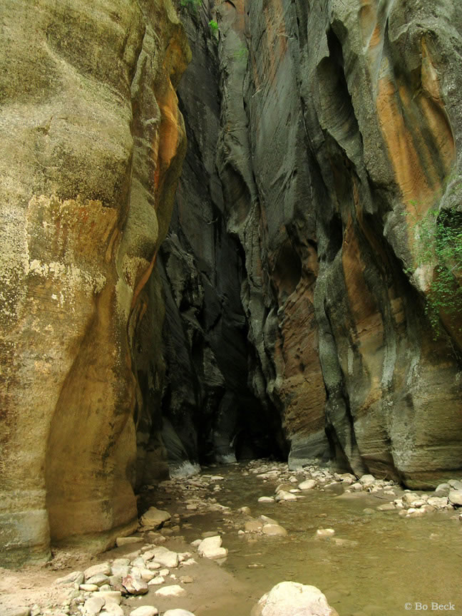 Picture Zion Narrows