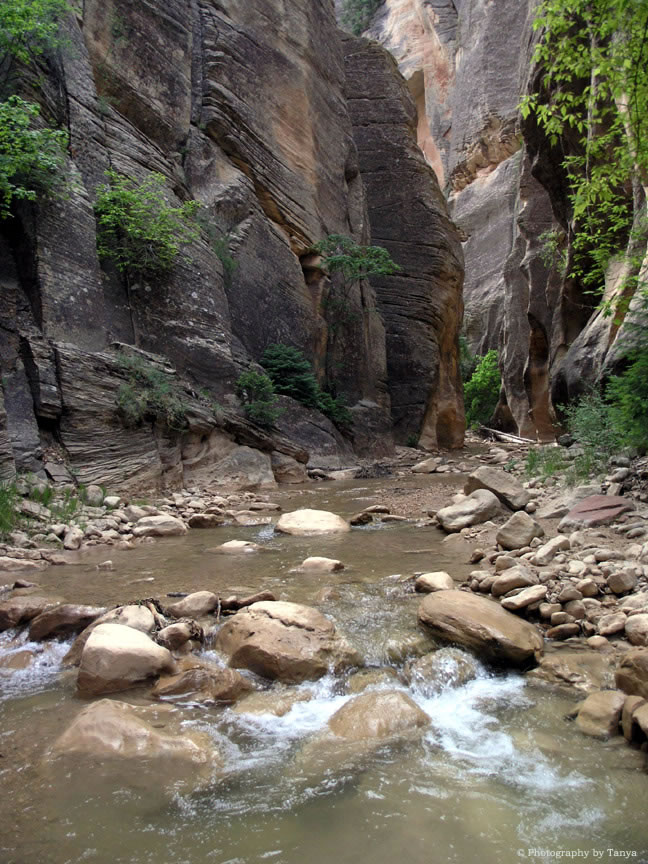 Narrows Photo, Zion