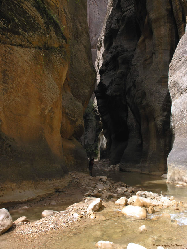 Photo Zion Narrows
