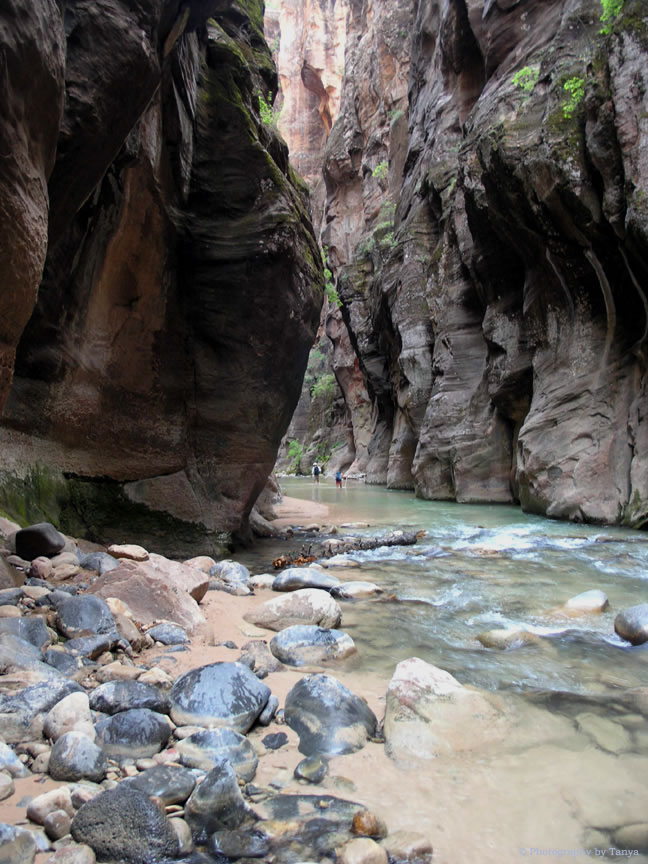 Zion Narrows photo