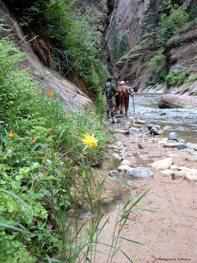 Photo Zion Narrows