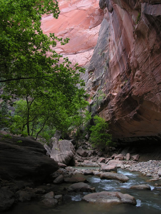 Zion Narrow photo