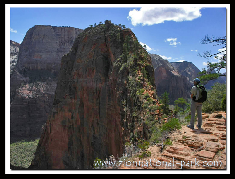 Photograph Zion National Park - Angels Landing