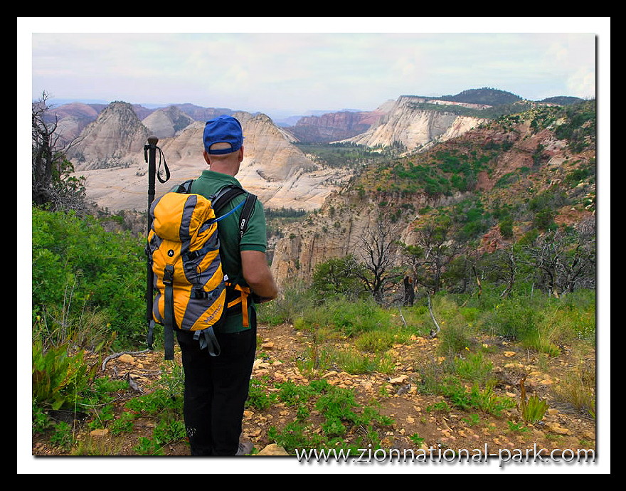 picture zion national park