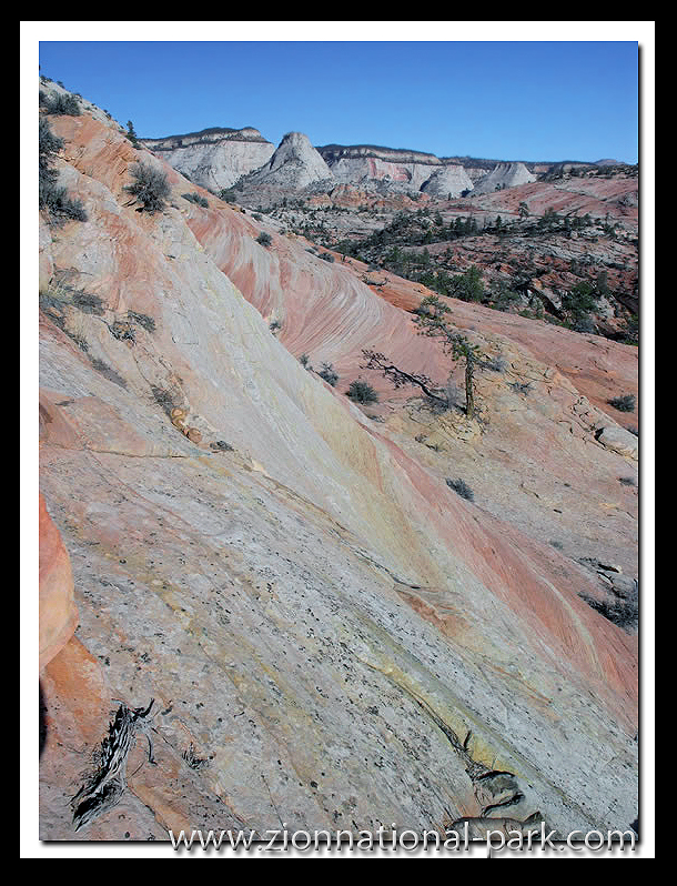 Zion Park Photo