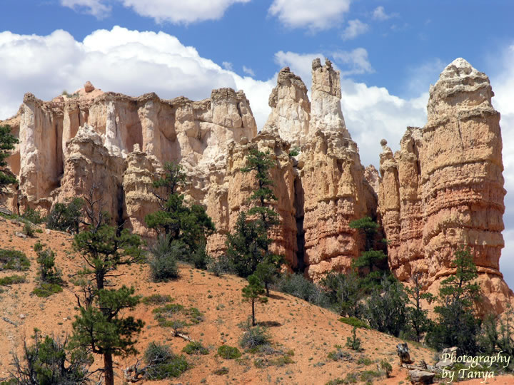 Mossy Cave in Bryce Canyon Photo