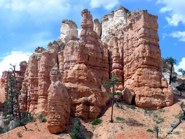 Mossy Cave Trail - Bryce Canyon