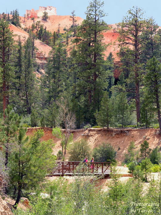 Photo Mossy Cave - Bryce Canyon
