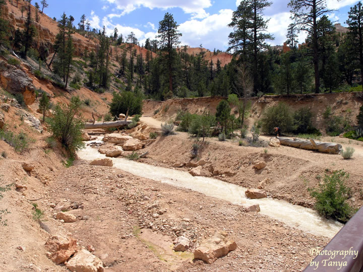 Photo Mossy Cave - Bryce Canyon