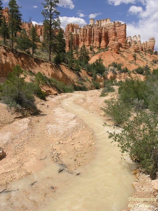 Photo Mossy Cave - Bryce Canyon Photo