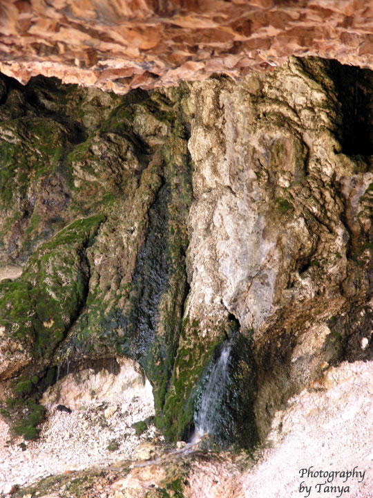 Mossy Cave photo in Bryce Canyon