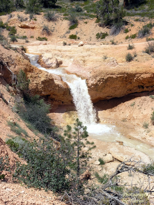 Mossy Cave Waterfall in Bryce Canyon Photo