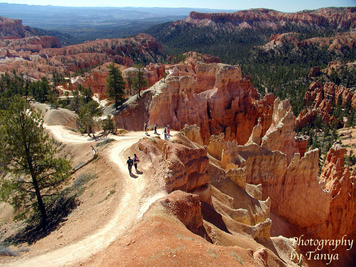 Queens Garden Photo in Bryce Canyon