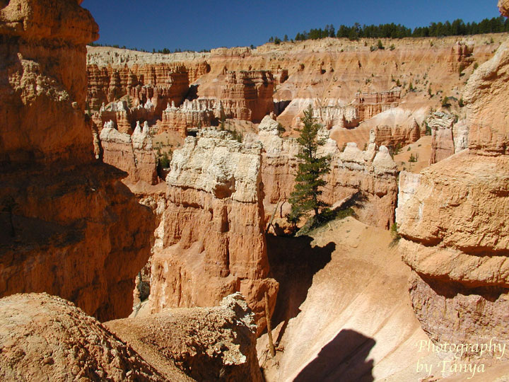 Queens Garden in Bryce Canyon