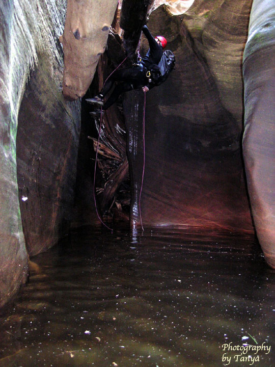 Picture slot canyon in Zion National Park