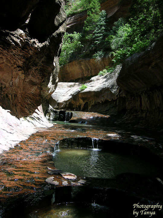 Picture The Subway in Zion National Park