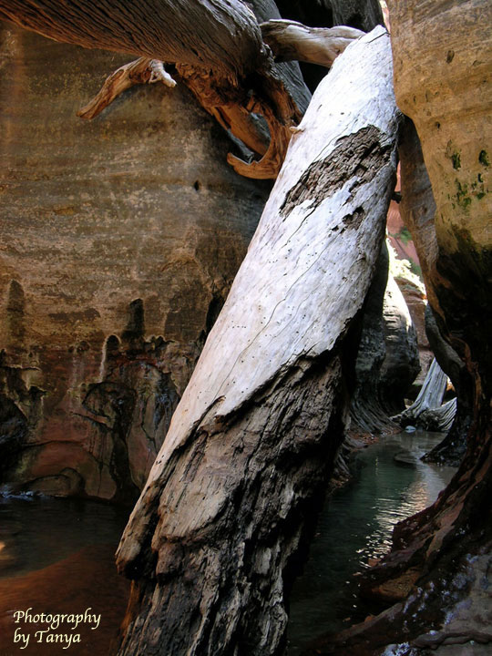 Photo: The Subway in Zion