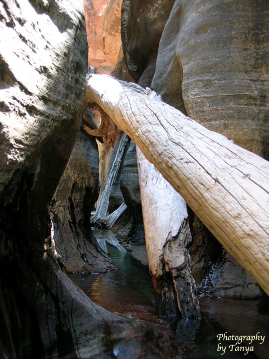 Photograph: The Subway in Zion