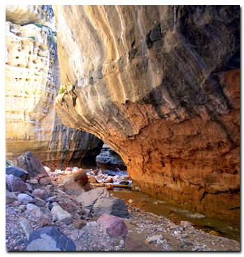 Ashdown Gorge - Rattlesnake Creek on Cedar Mountain at Dixie National Forest