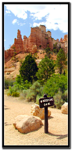 Bryce Canyon Mossy Cave Trail