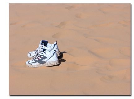 Coral Pink Sand Dunes, Utah State Park