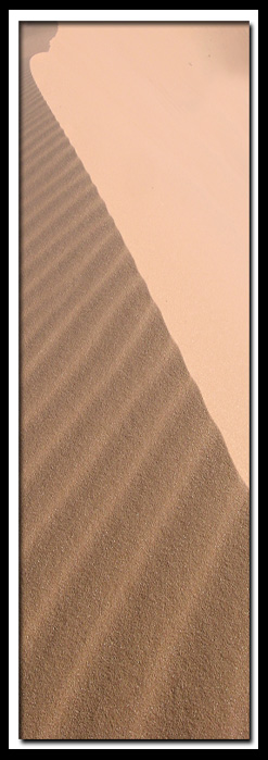 Coral Pink Sand Dunes State Park