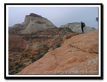 East side of Zion National Park