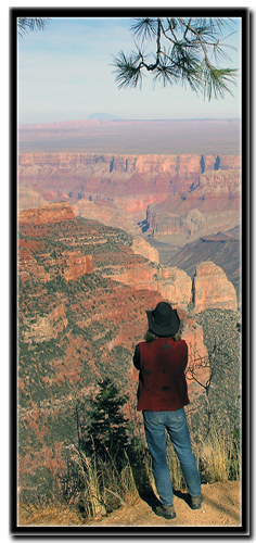 Arizona Highway 67 to the North Rim of the Grand Canyon