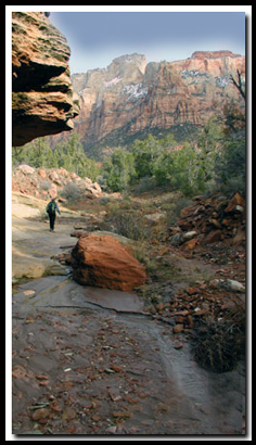 Zion's Scoggins Wash